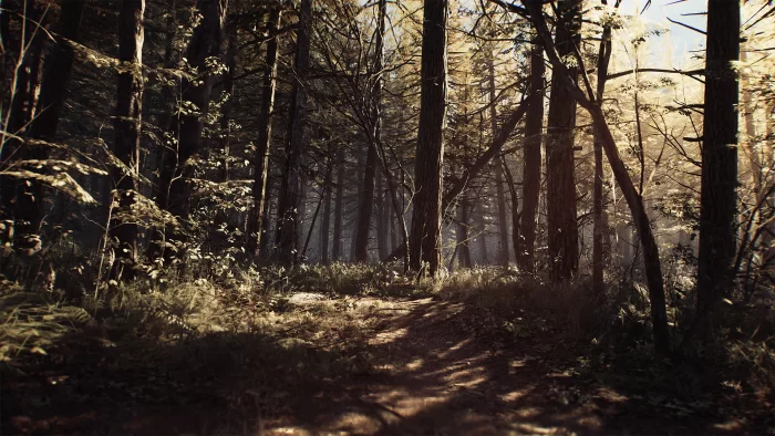 Скриншот Blair Witch (2019) №2