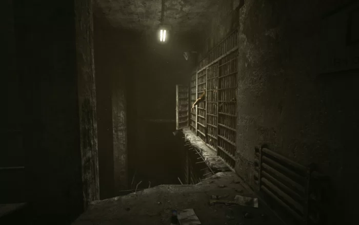 Скриншот Outlast №2