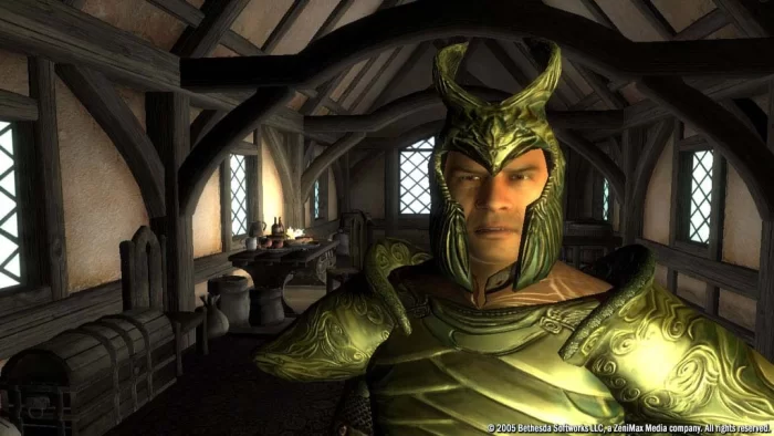 Скриншот The Elder Scrolls IV: Oblivion (2006) №1