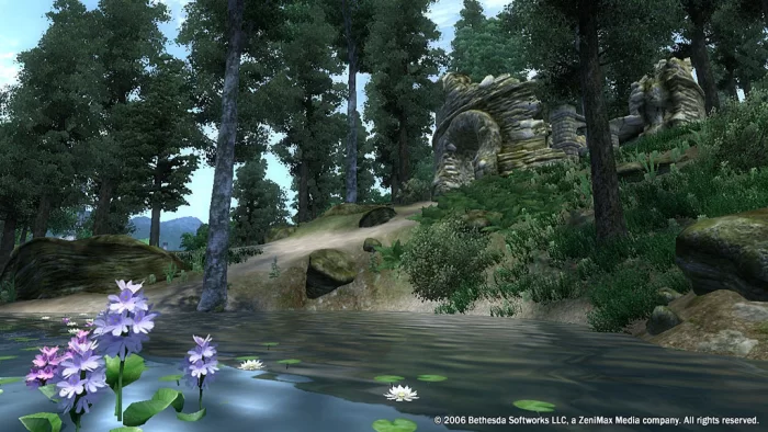 Скриншот The Elder Scrolls IV: Oblivion (2006) №2