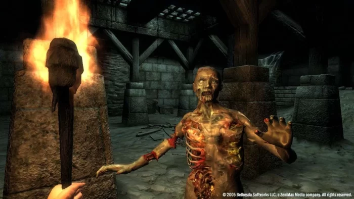 Скриншот The Elder Scrolls IV: Oblivion (2006) №6
