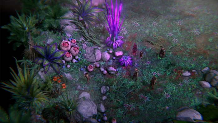 Скриншот Pathfinder: Kingmaker (2018) №2