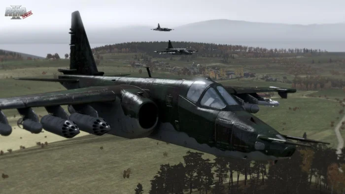 Скриншот Arma 2 №6