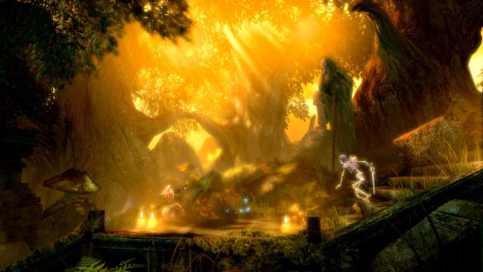Скриншот Trine: Enchanted Edition №2