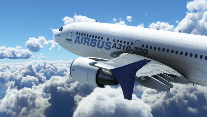 Скриншот Microsoft Flight Simulator №2