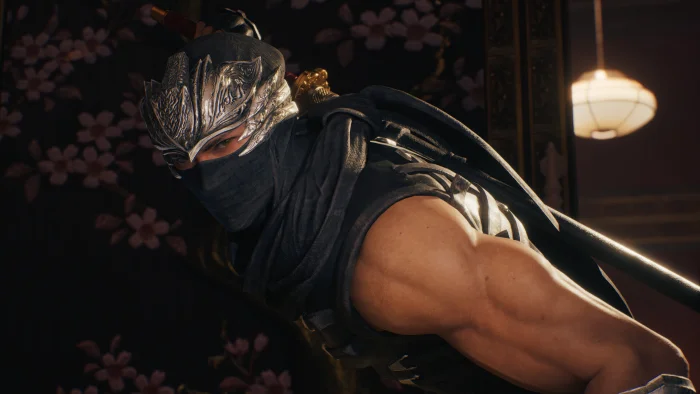 Скриншот Ninja Gaiden 2 Black №6