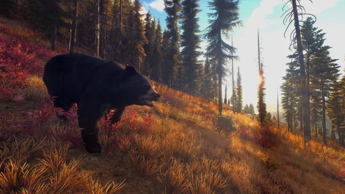 Скриншот Way of the Hunter №5