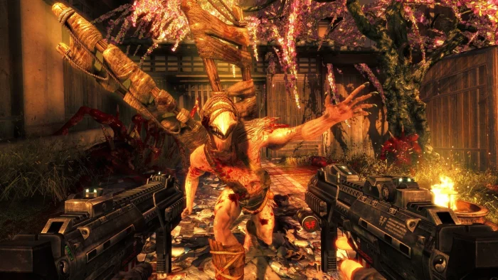 Скриншот Shadow Warrior №2